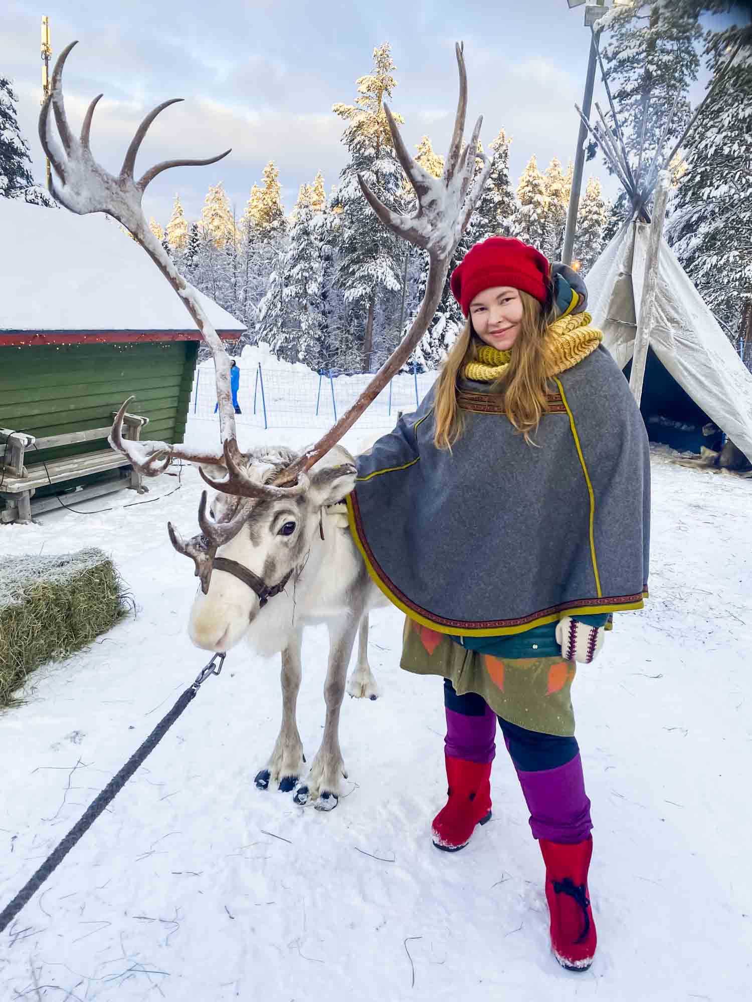 Reindeer Experience